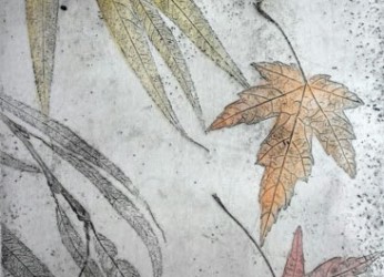 foglie-ceramolle