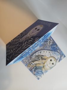 LA CICALA E IL BARBAGIANNI - libro d'artista