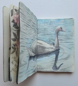 KENSINGTON GARDEN - libro d'artista