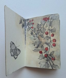 KENSINGTON GARDEN - libro d'artista