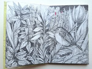 ANGOLI DI GIARDINO - libro d'artista