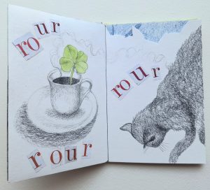 ANGOLI DI GIARDINO - libro d'artista