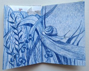 ANGOLI DI GIARDINO - libro d'artista