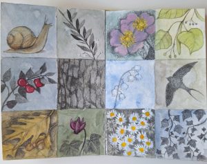 ANGOLI DI GIARDINO - libro d'artista