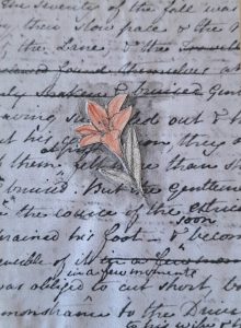 JANE AUSTEN - leporello